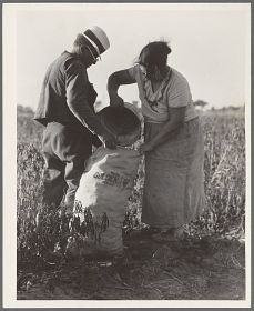 Dorothea Lange - Mexican townsfolk