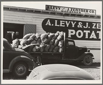 Dorothea Lange - The potato shed