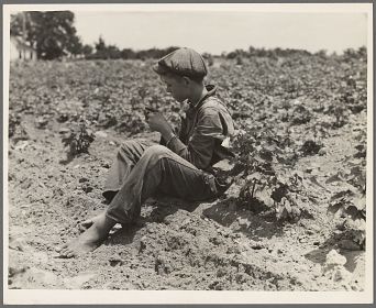 Dorothea Lange - Sharecropper boy 