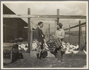 Dorothea Lange - Client with county agent